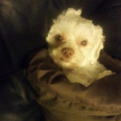 2016-01-11 18.17.16 (1).jpg