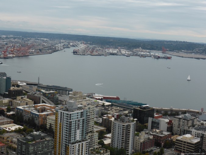 Space-Needle-View